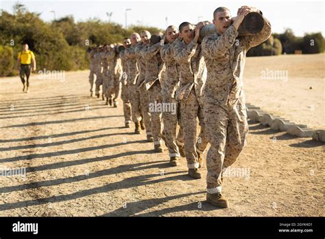 Recruits working together during a training exercise