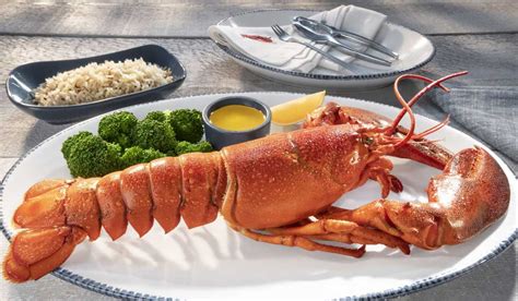 Red Lobster Rewards Program