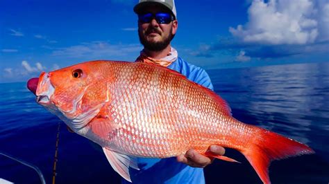 Fishing in the Red Sea