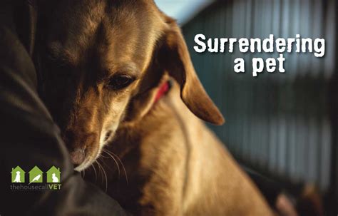 Reduced risk of pet surrender