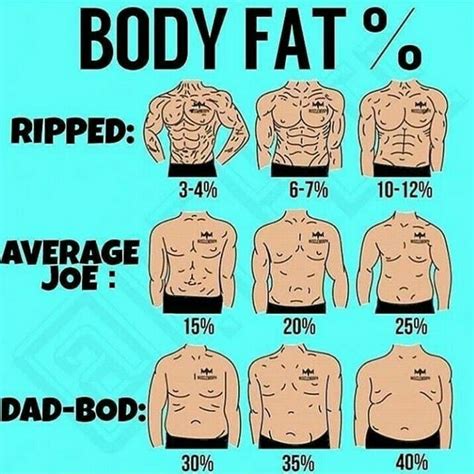 Reducing Body Fat Percentage