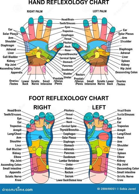 Reflexology