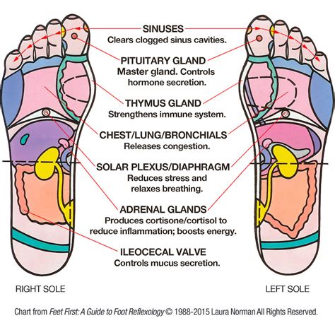 Reflexology