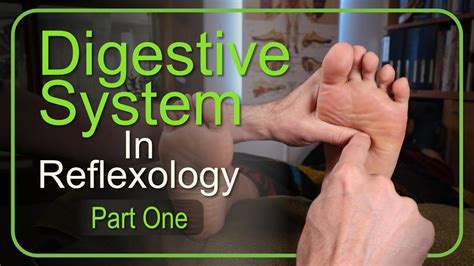 Reflexology Digestion