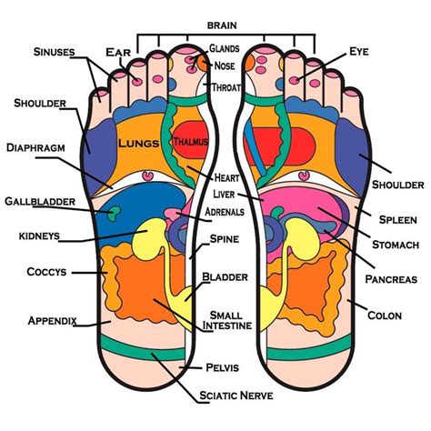 Reflexology Foot Chart Printable Sleep Quality