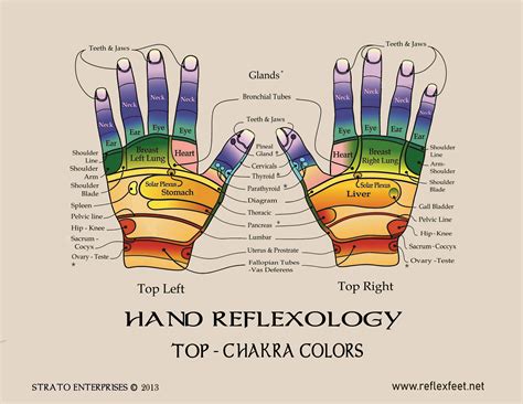 Reflexology Hand Chart Image 5