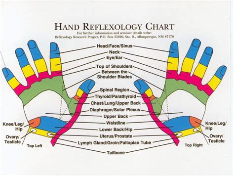 Reflexology Hand Chart Image 6