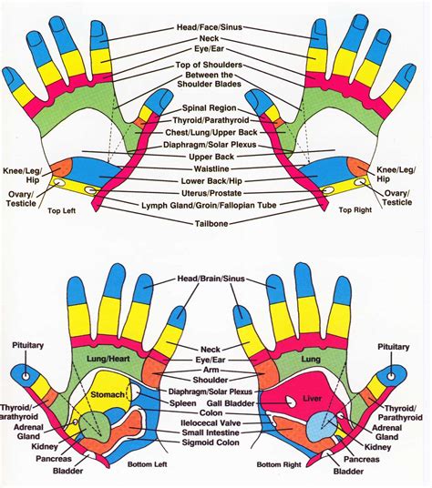 Reflexology Points on Hand