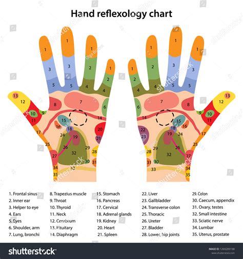 Reflexology Points on Hand Chart