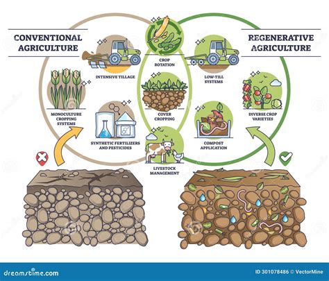 Regenerative agriculture soil conservation