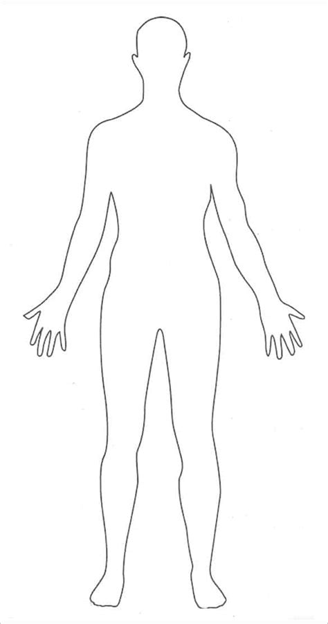 Regional Human Body Outline Printable Template