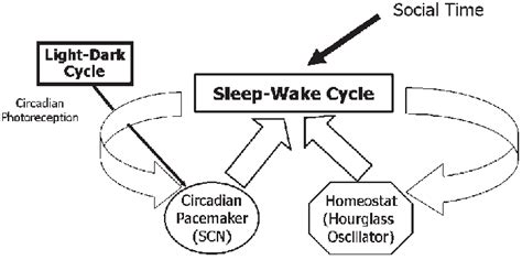 Image of a person's sleep-wake cycle