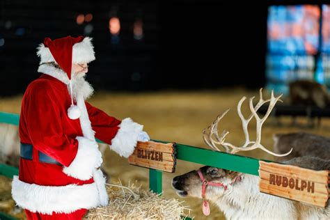 A depiction of the reindeer in flight, pulling Santa's sleigh