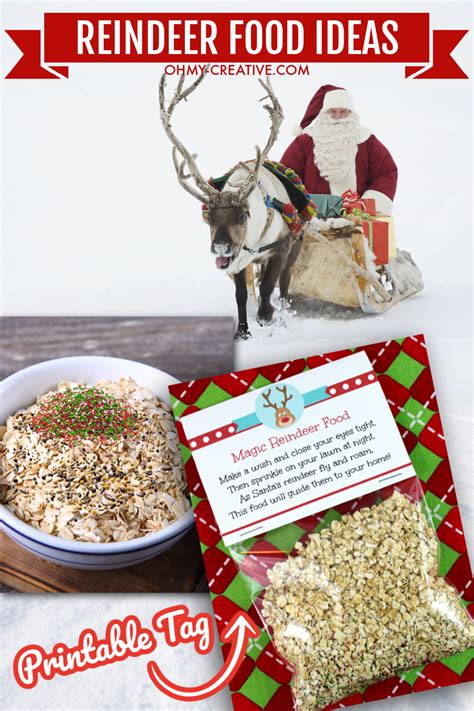 Reindeer Food Tips