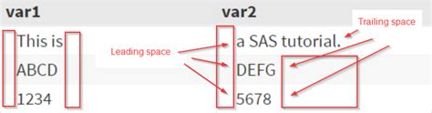 Remove Leading and Trailing Spaces