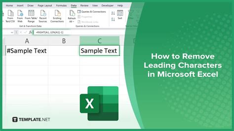 Remove Leading Character in Excel