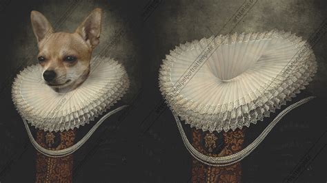 Example of a Renaissance Pet Portrait Template