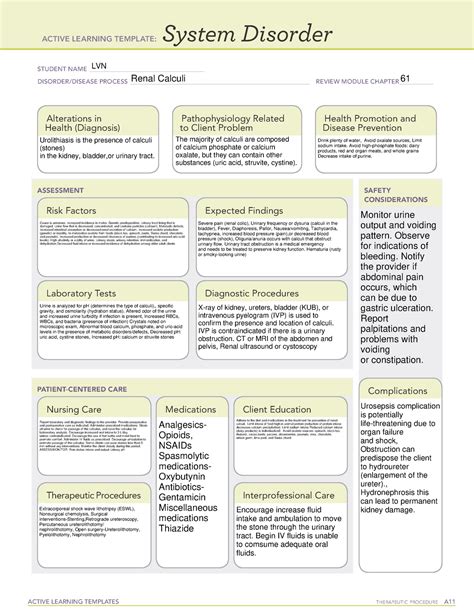 Renal Calculi System Disorder Diet