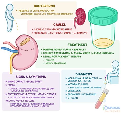 Renal Disease and Its Impact on Daily Life