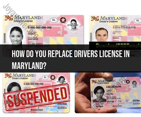 Replacement Driver License