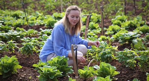 Research Local Farms