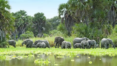 Ecosystems in reserves