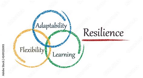 Resilience and Adaptability