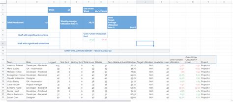 Resource Utilization Report Template Example