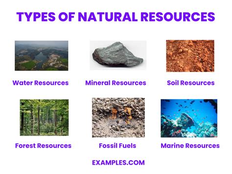 Resources