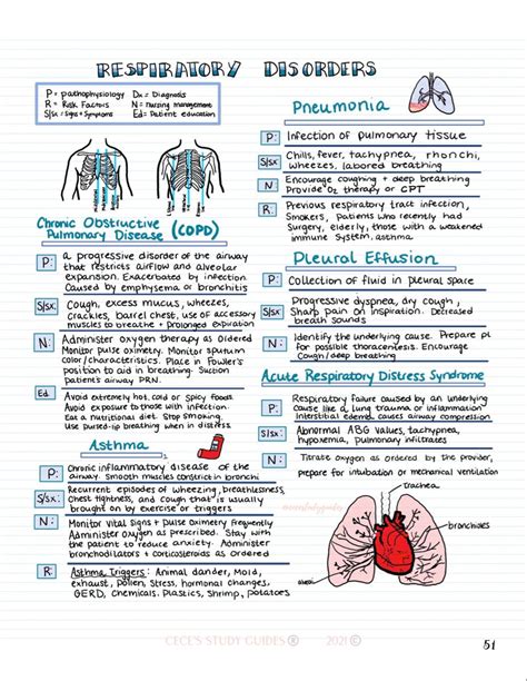 Respiratory care cheat sheet