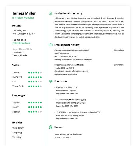 Resume builder online example