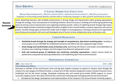 Resume Summary Statement Examples