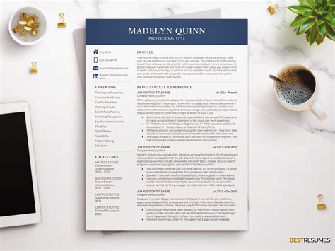 Resume Template Example