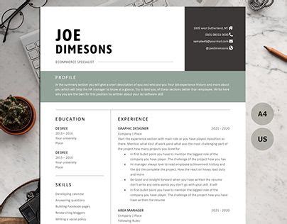 ATS-Friendly Resume Template 9