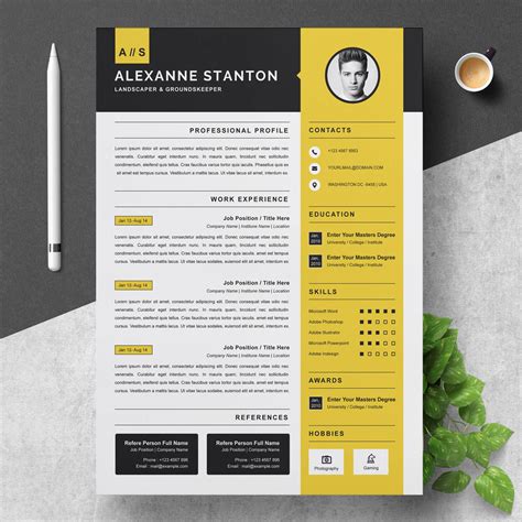 Resume Template Design 3