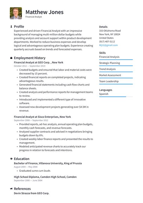 Resume Template Examples for Professionals