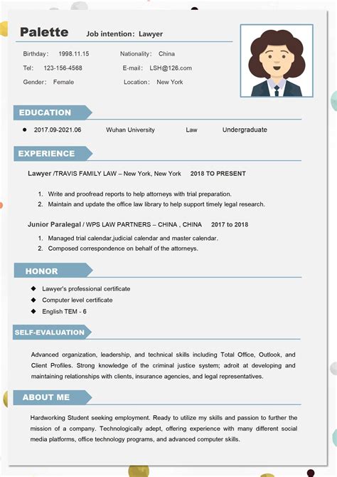 Excel Resume Template 4