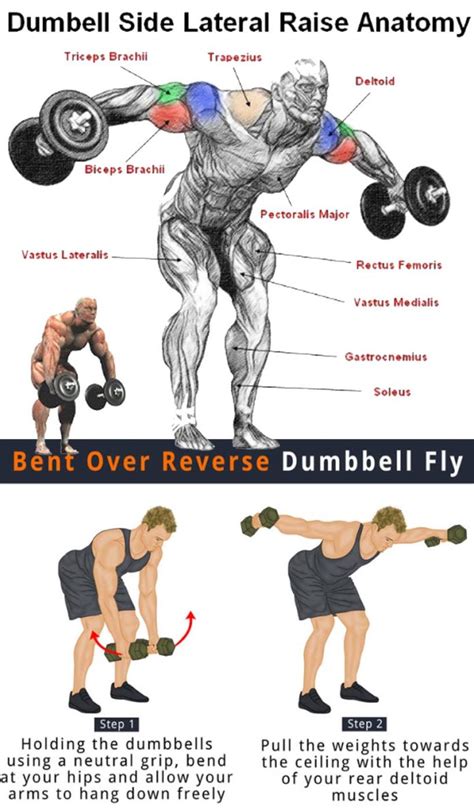 Reverse fly exercise for different fitness levels