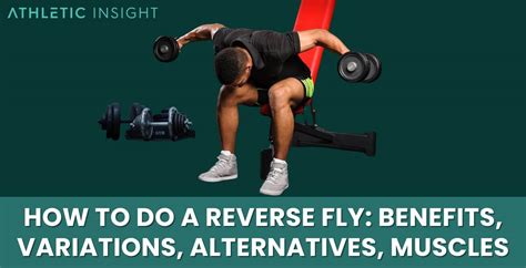 Reverse fly exercise variations