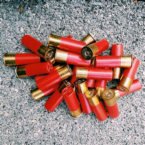 Revolver Shotgun Shells Close-up