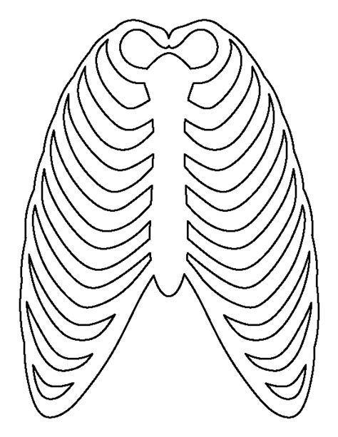 Rib Cage Template