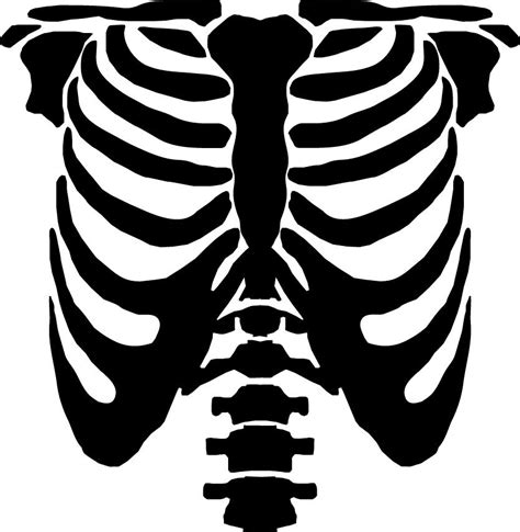 Rib Cage Template Printable Download