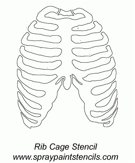 Rib Cage Template Printable Free Download