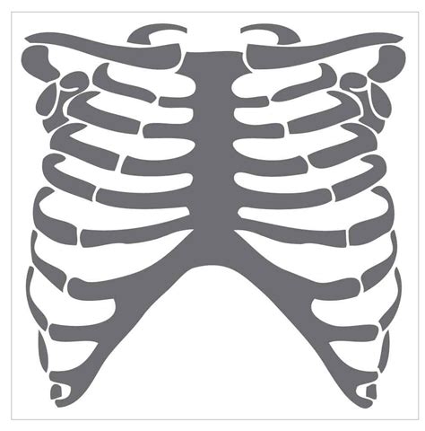 Rib Cage Template Printable Download