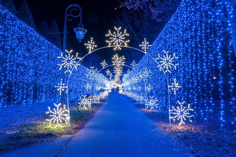 Richardson's Canyon Creek Christmas lights display