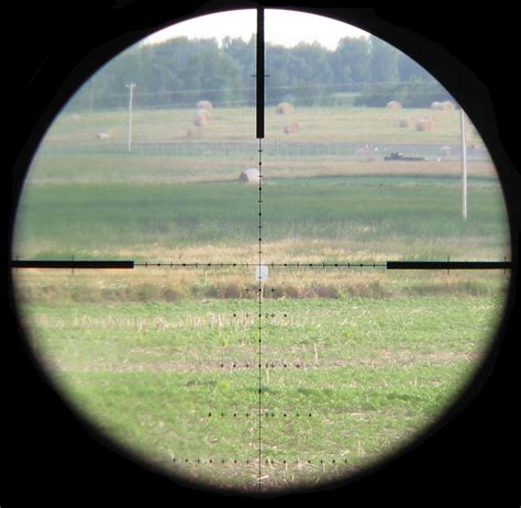 Rifle Sighting Systems