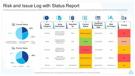 Risk and Issue Report Template