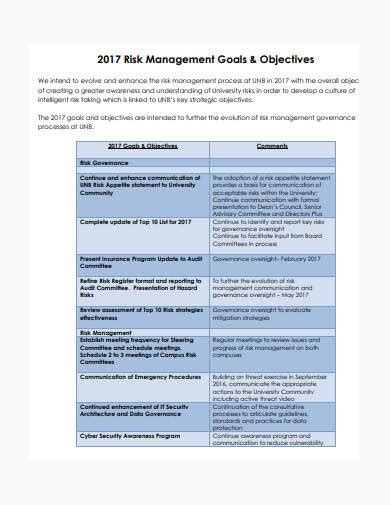 Risk Management Report Template