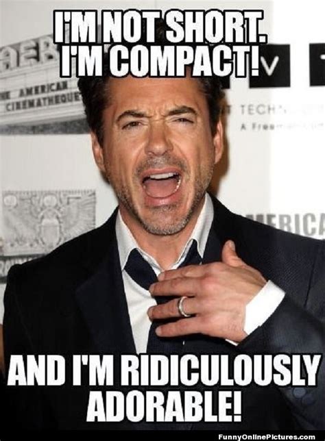 Robert Downey Jr. meme funny