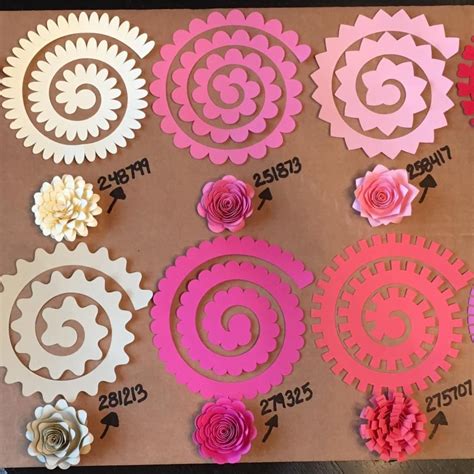 Rolled flower accessories